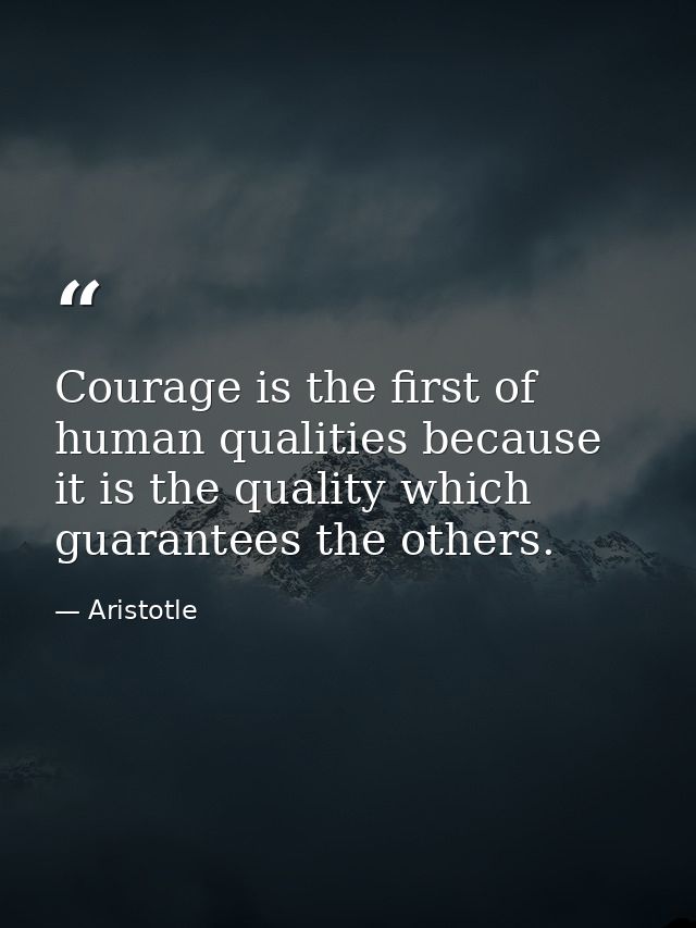 Courage is the first of human qualities because it is the quality which guarantees the others. — Aristotle