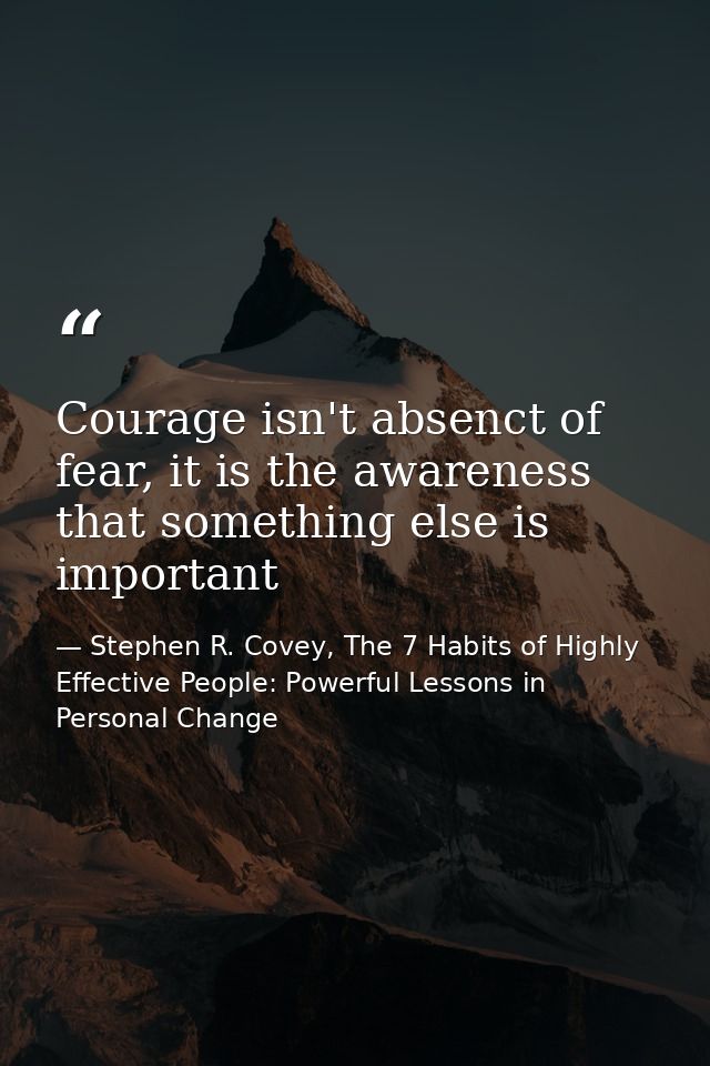 Courage isn't absenct of fear, it is the awareness that something else is important — Stephen R. Covey, The 7 Habits of Highly Effective People: Powerful Lessons in Personal Change