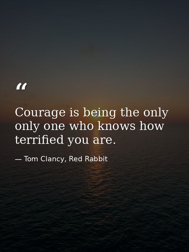 Courage is being the only only one who knows how terrified you are. — Tom Clancy, Red Rabbit