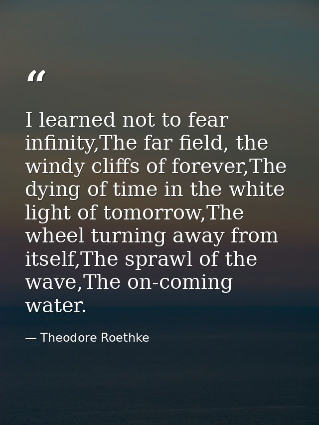 I learned not to fear infinity,The far field, the windy cliffs of forever,The dying of time in the white light of tomorr — Theodore Roethke