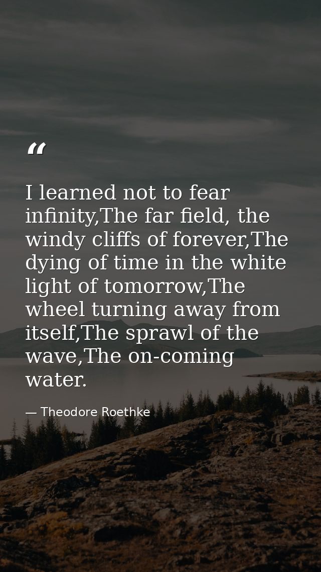 I learned not to fear infinity,The far field, the windy cliffs of forever,The dying of time in the white light of tomorr — Theodore Roethke