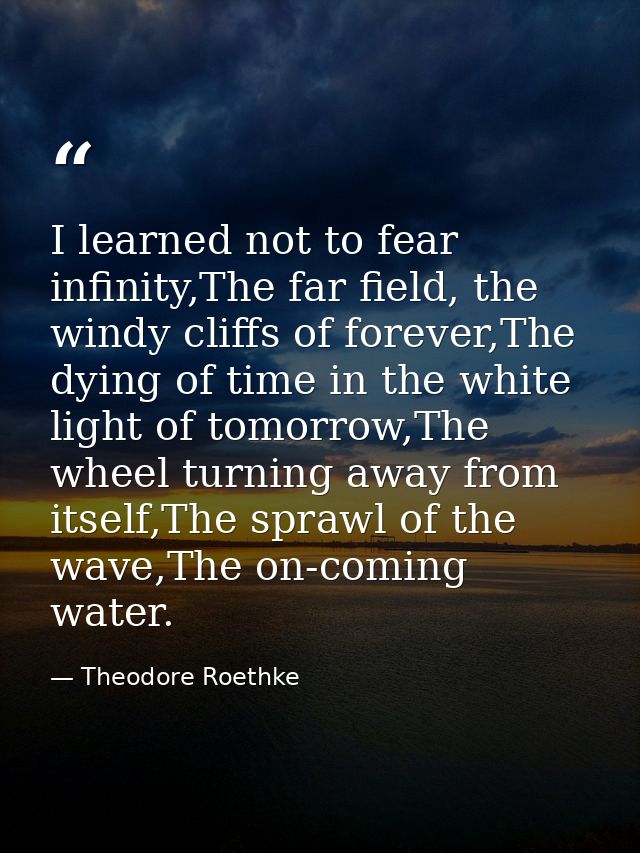 I learned not to fear infinity,The far field, the windy cliffs of forever,The dying of time in the white light of tomorr — Theodore Roethke