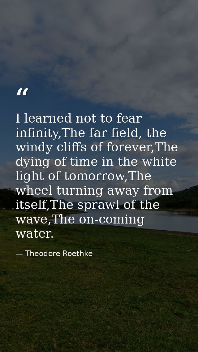 I learned not to fear infinity,The far field, the windy cliffs of forever,The dying of time in the white light of tomorr — Theodore Roethke