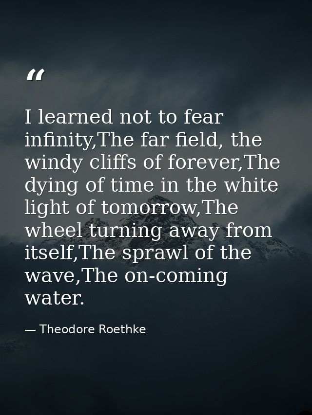 I learned not to fear infinity,The far field, the windy cliffs of forever,The dying of time in the white light of tomorr — Theodore Roethke