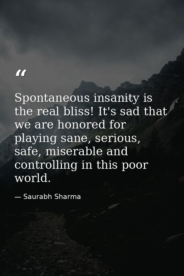 Spontaneous insanity is the real bliss! It's sad that we are honored for playing sane, serious, safe, miserable and cont — Saurabh Sharma