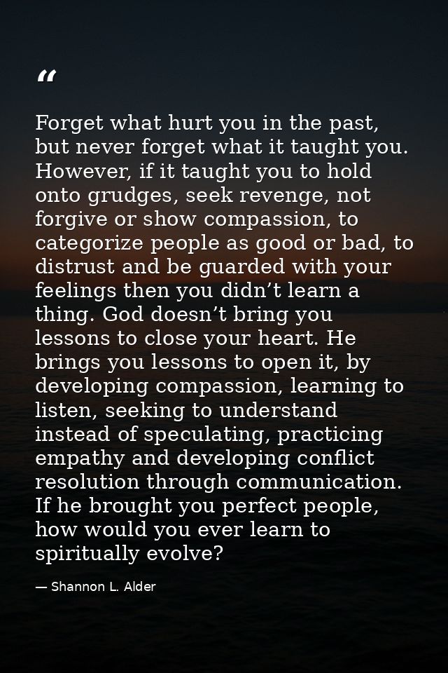 Forget what hurt you in the past, but never forget what it taught you. However, if it taught you to hold onto grudges, s — Shannon L. Alder