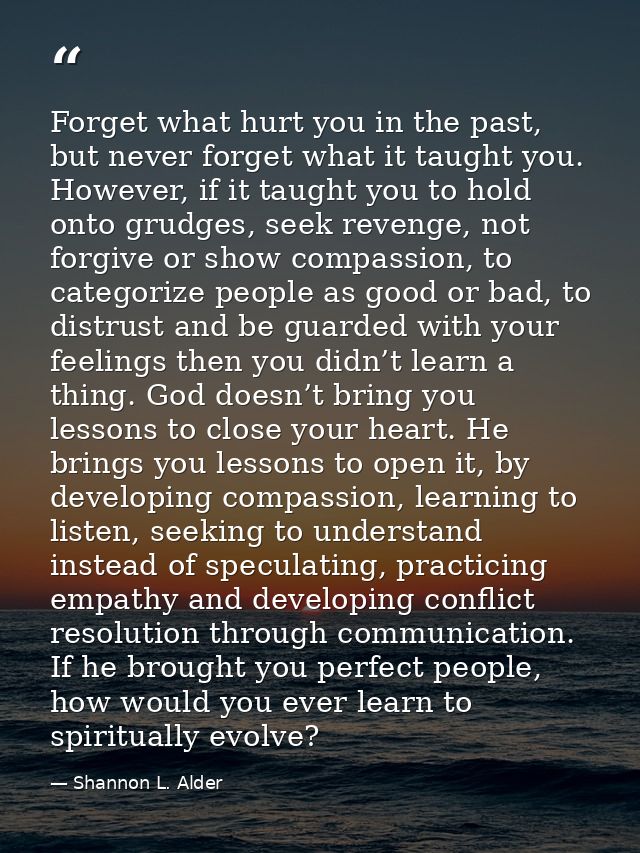 Forget what hurt you in the past, but never forget what it taught you. However, if it taught you to hold onto grudges, s — Shannon L. Alder
