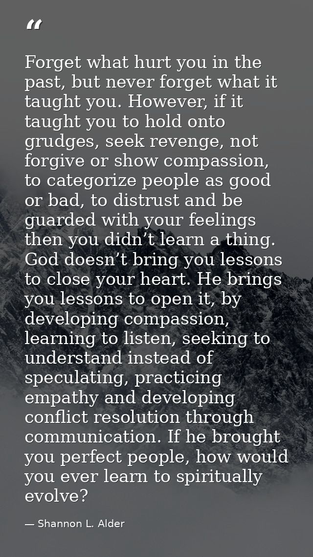 Forget what hurt you in the past, but never forget what it taught you. However, if it taught you to hold onto grudges, s — Shannon L. Alder