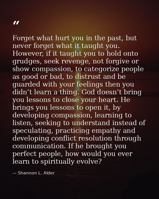 Forget what hurt you in the past, but never forget what it taught you. However, if it taught you to hold onto grudges, s — Shannon L. Alder