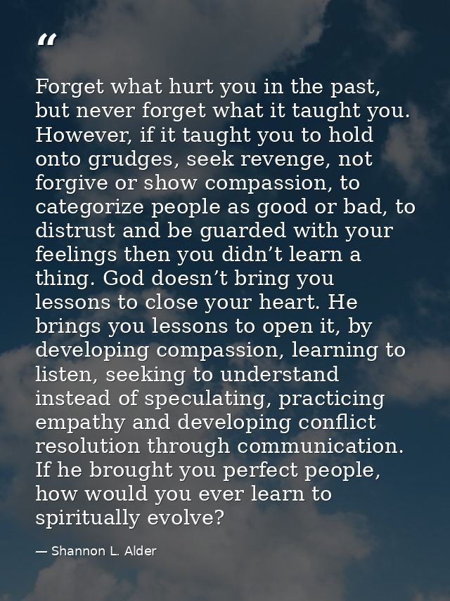 Forget what hurt you in the past, but never forget what it taught you. However, if it taught you to hold onto grudges, s — Shannon L. Alder