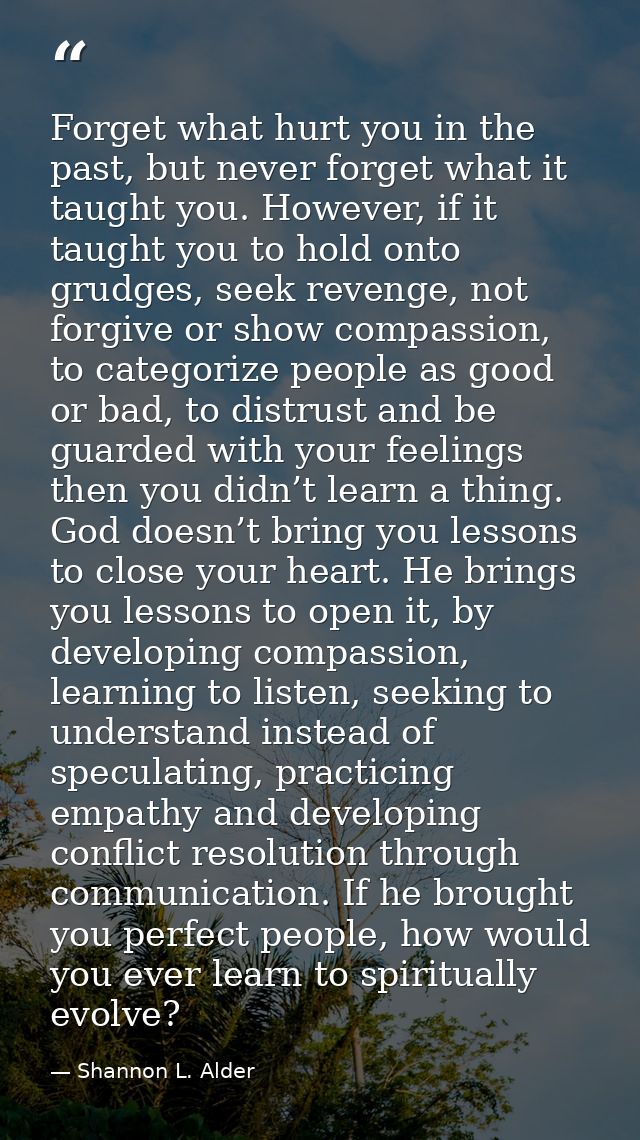 Forget what hurt you in the past, but never forget what it taught you. However, if it taught you to hold onto grudges, s — Shannon L. Alder