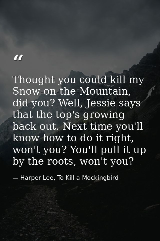 Thought you could kill my Snow-on-the-Mountain, did you? Well, Jessie says that the top's growing back out. Next time yo — Harper Lee, To Kill a Mockingbird