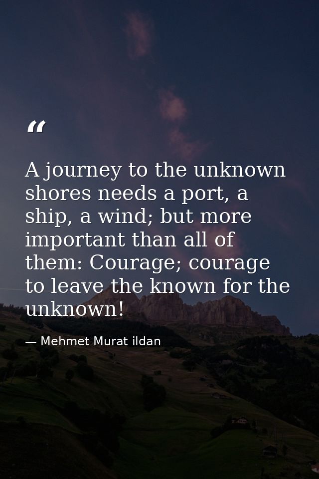 A journey to the unknown shores needs a port, a ship, a wind; but more important than all of them: Courage; courage to l — Mehmet Murat ildan