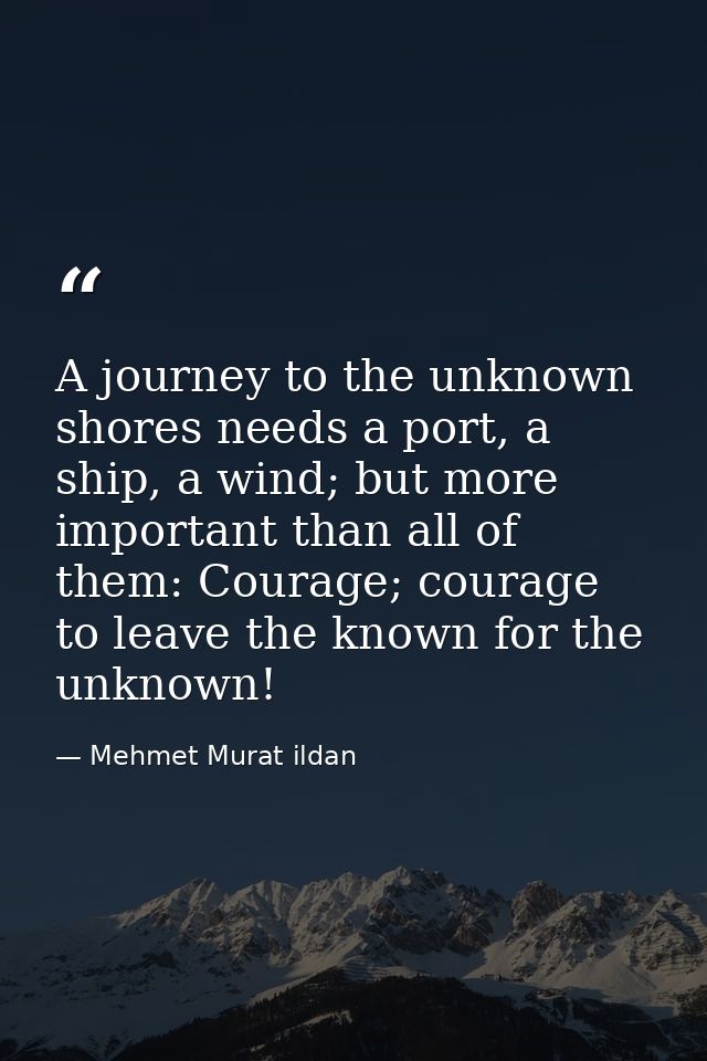 A journey to the unknown shores needs a port, a ship, a wind; but more important than all of them: Courage; courage to l — Mehmet Murat ildan