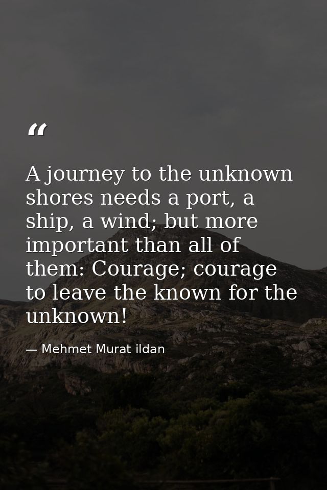 A journey to the unknown shores needs a port, a ship, a wind; but more important than all of them: Courage; courage to l — Mehmet Murat ildan