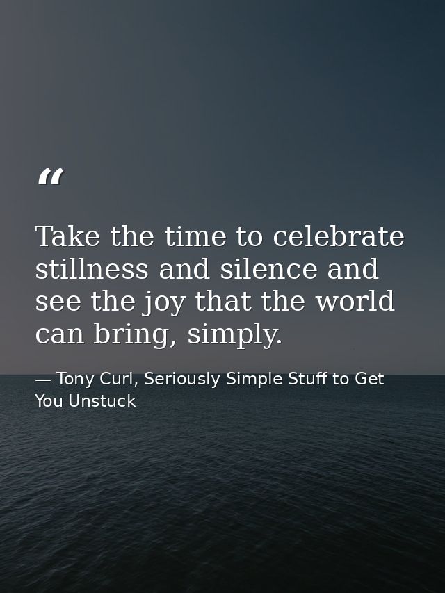 Take the time to celebrate stillness and silence and see the joy that the world can bring, simply. — Tony Curl, Seriously Simple Stuff to Get You Unstuck