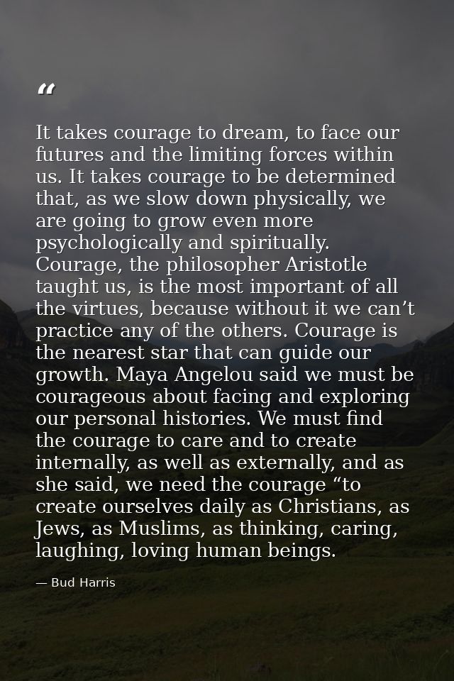 It takes courage to dream, to face our futures and the limiting forces within us. It takes courage to be determined that — Bud Harris