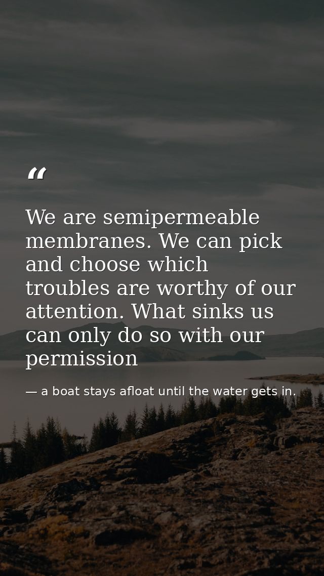 We are semipermeable membranes. We can pick and choose which troubles are worthy of our attention. What sinks us can onl — a boat stays afloat until the water gets in.