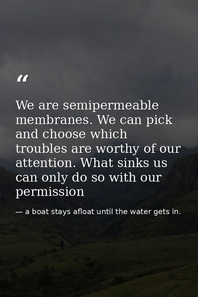 We are semipermeable membranes. We can pick and choose which troubles are worthy of our attention. What sinks us can onl — a boat stays afloat until the water gets in.