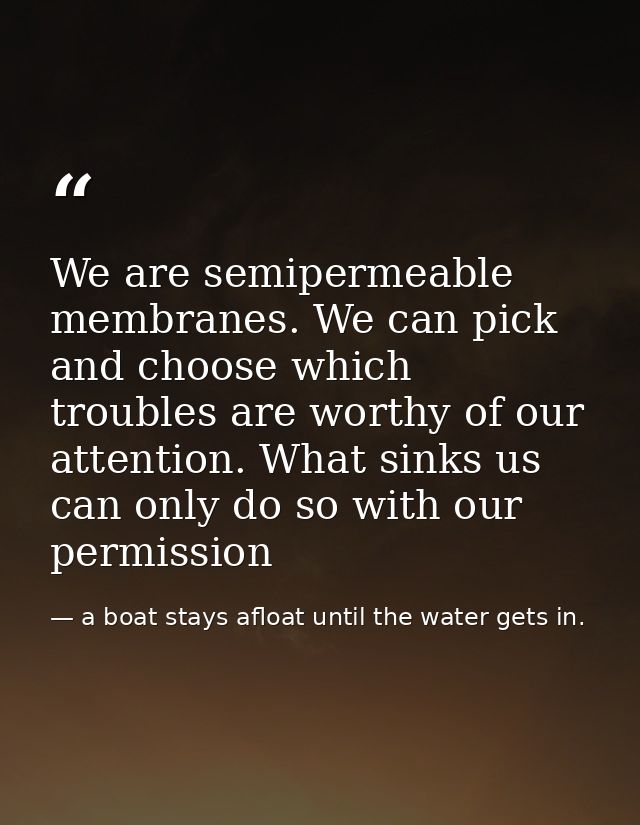 We are semipermeable membranes. We can pick and choose which troubles are worthy of our attention. What sinks us can onl — a boat stays afloat until the water gets in.