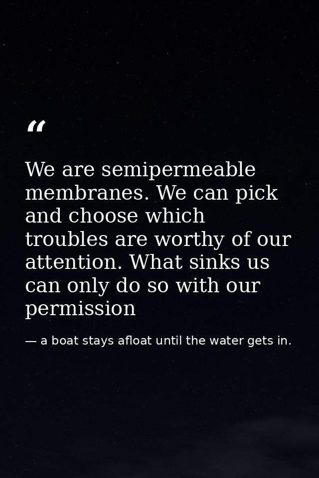 We are semipermeable membranes. We can pick and choose which troubles are worthy of our attention. What sinks us can onl — a boat stays afloat until the water gets in.