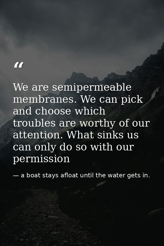 We are semipermeable membranes. We can pick and choose which troubles are worthy of our attention. What sinks us can onl — a boat stays afloat until the water gets in.
