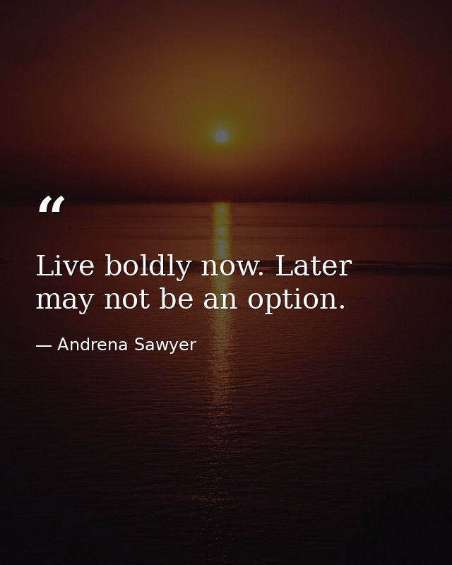 Live boldly now. Later may not be an option. — Andrena Sawyer