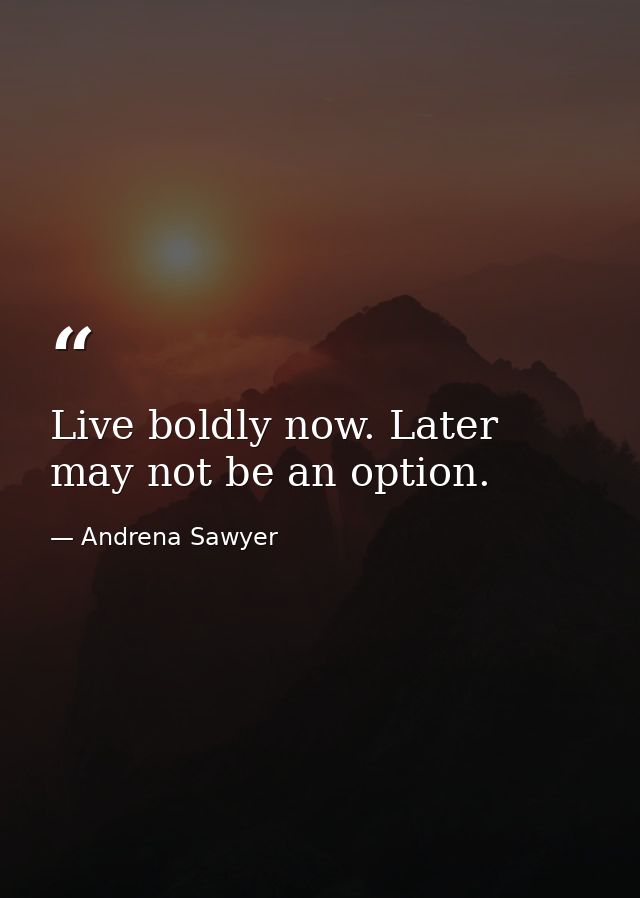 Live boldly now. Later may not be an option. — Andrena Sawyer