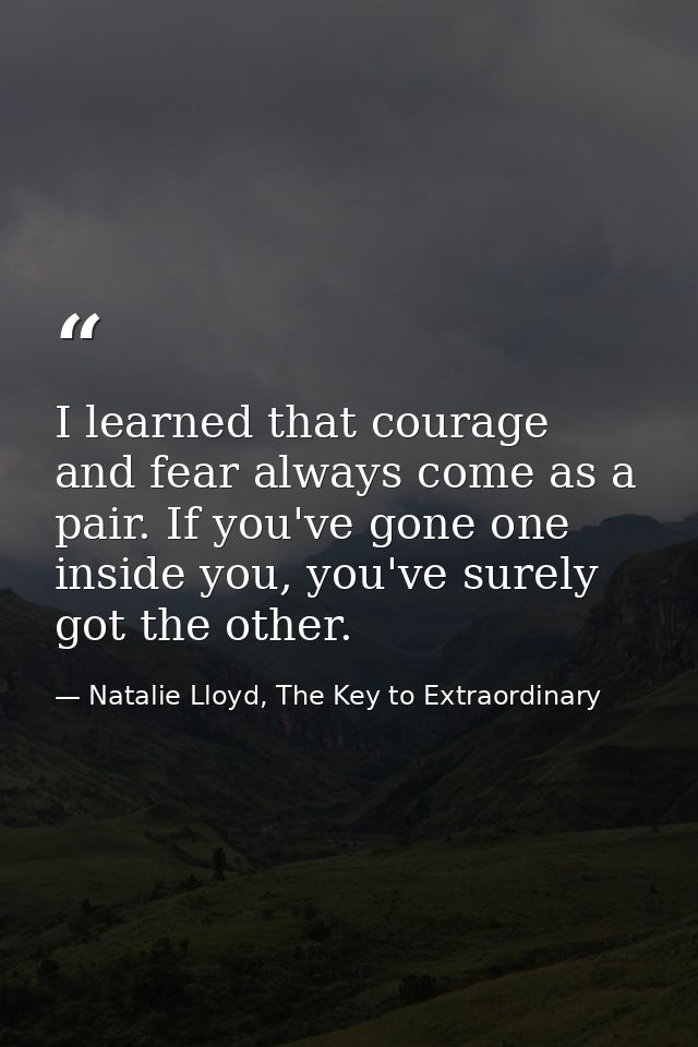 I learned that courage and fear always come as a pair. If you've gone one inside you, you've surely got the other. — Natalie Lloyd, The Key to Extraordinary