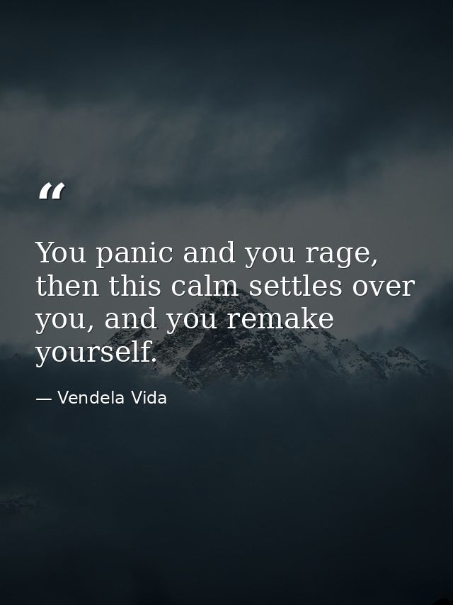 You panic and you rage, then this calm settles over you, and you remake yourself. — Vendela Vida