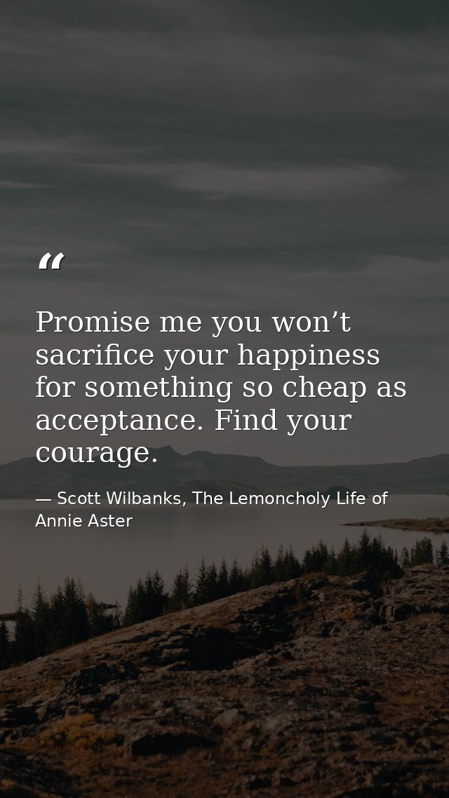 Promise me you won’t sacrifice your happiness for something so cheap as acceptance. Find your courage. — Scott Wilbanks, The Lemoncholy Life of Annie Aster