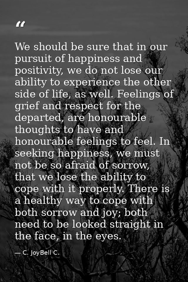 We should be sure that in our pursuit of happiness and positivity, we do not lose our ability to experience the other si — C. JoyBell C.