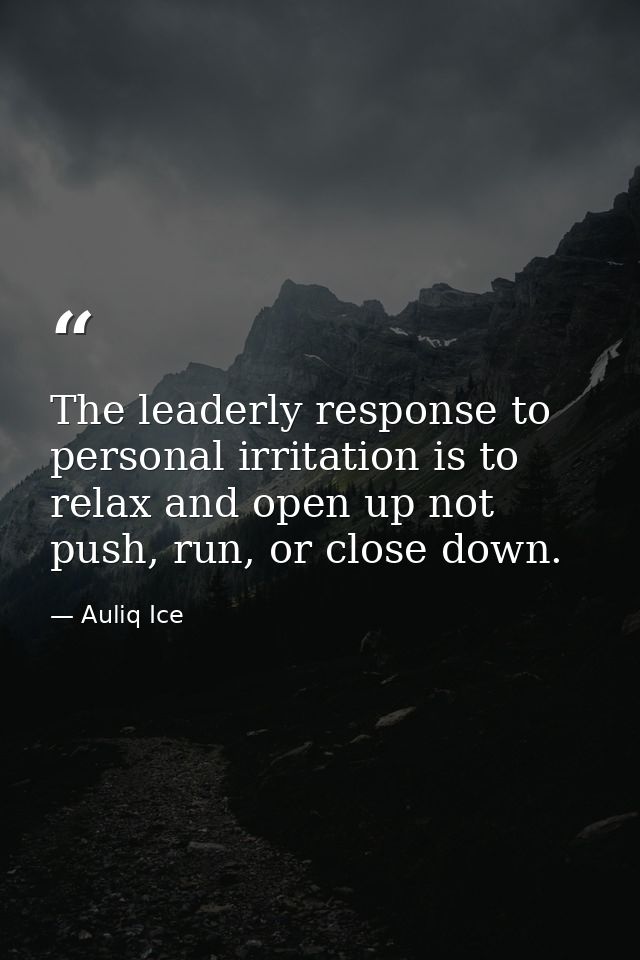 The leaderly response to personal irritation is to relax and open up not push, run, or close down. — Auliq Ice