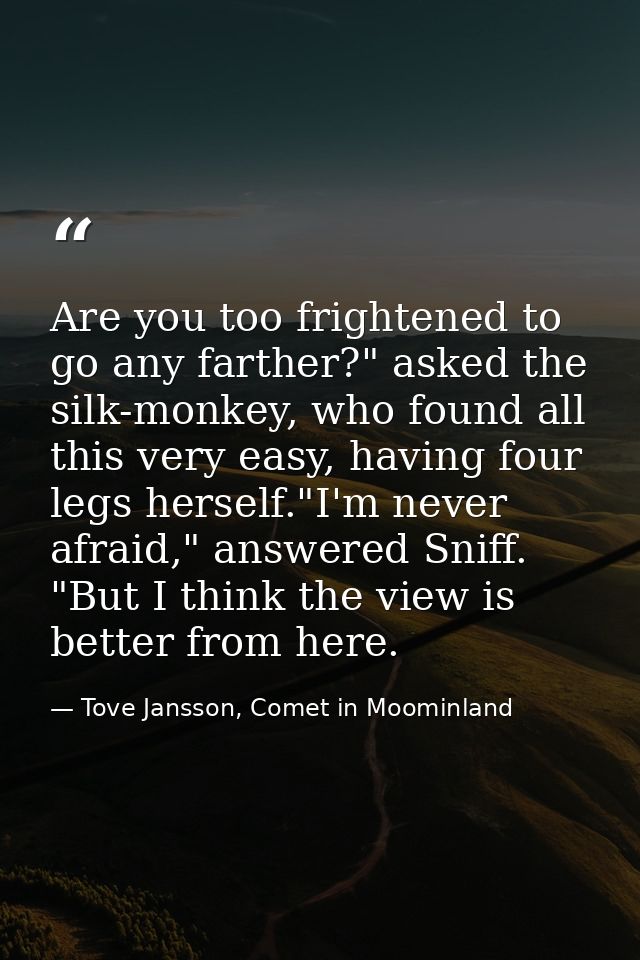Are you too frightened to go any farther?" asked the silk-monkey, who found all this very easy, having four legs herself — Tove Jansson, Comet in Moominland