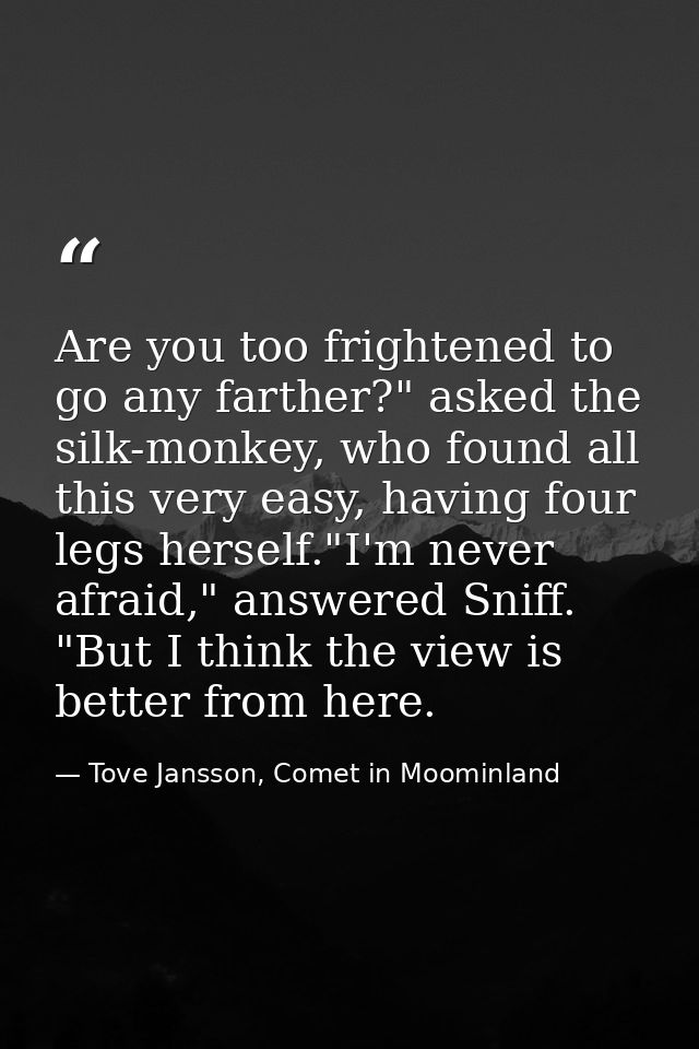 Are you too frightened to go any farther?" asked the silk-monkey, who found all this very easy, having four legs herself — Tove Jansson, Comet in Moominland