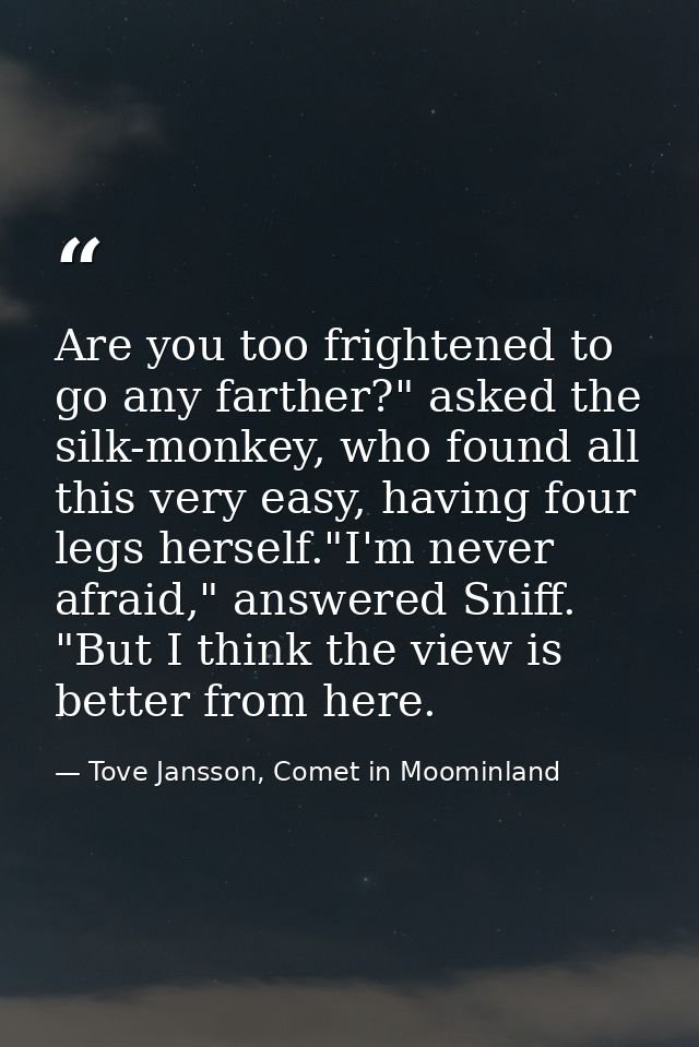 Are you too frightened to go any farther?" asked the silk-monkey, who found all this very easy, having four legs herself — Tove Jansson, Comet in Moominland