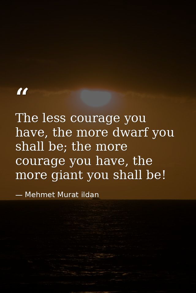 The less courage you have, the more dwarf you shall be; the more courage you have, the more giant you shall be! — Mehmet Murat ildan