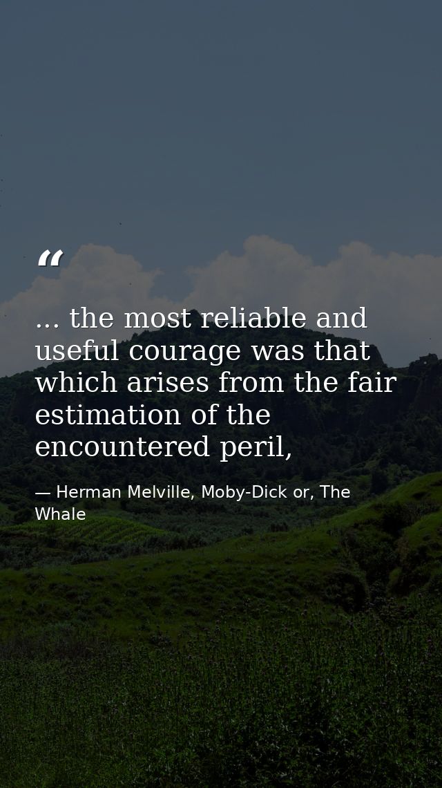 ... the most reliable and useful courage was that which arises from the fair estimation of the encountered peril, — Herman Melville, Moby-Dick or, The Whale