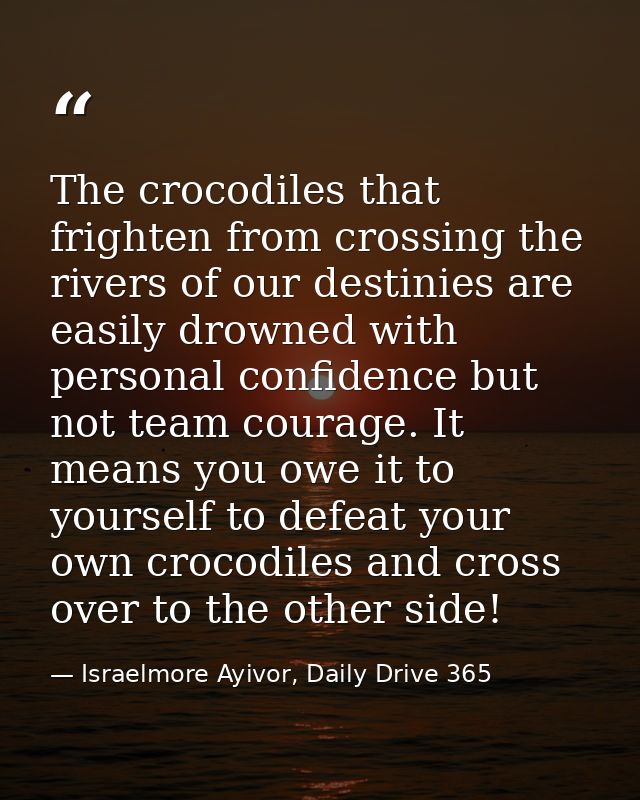 The crocodiles that frighten from crossing the rivers of our destinies are easily drowned with personal confidence but n — Israelmore Ayivor, Daily Drive 365