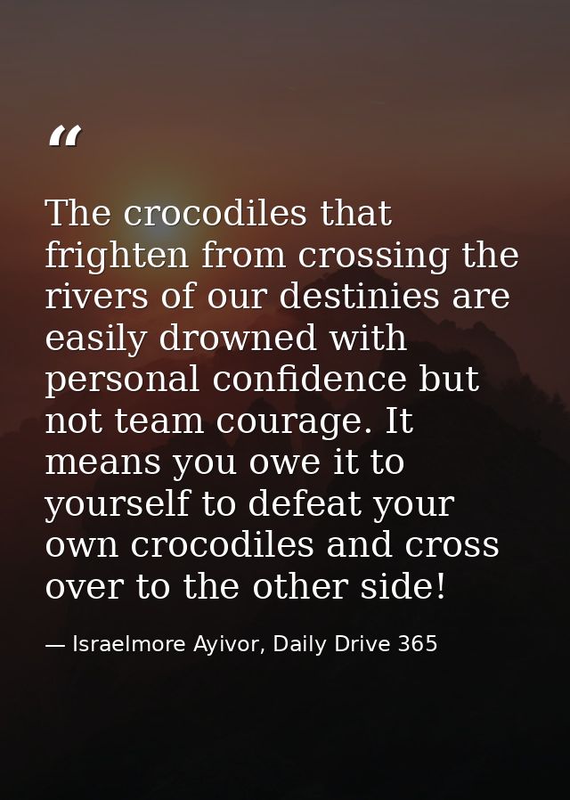 The crocodiles that frighten from crossing the rivers of our destinies are easily drowned with personal confidence but n — Israelmore Ayivor, Daily Drive 365