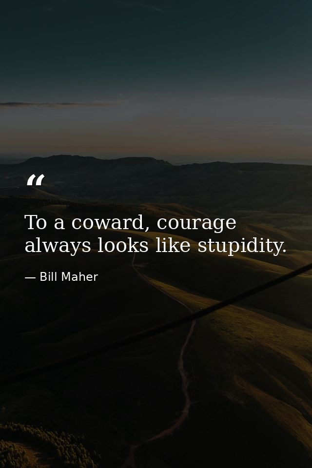 To a coward, courage always looks like stupidity. — Bill Maher