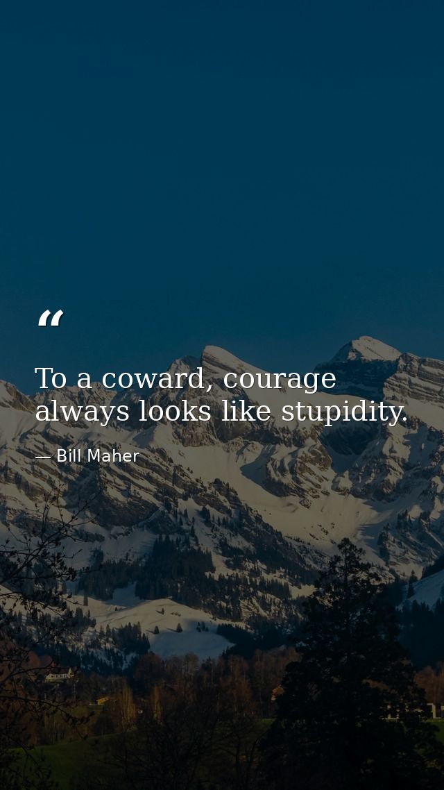 To a coward, courage always looks like stupidity. — Bill Maher