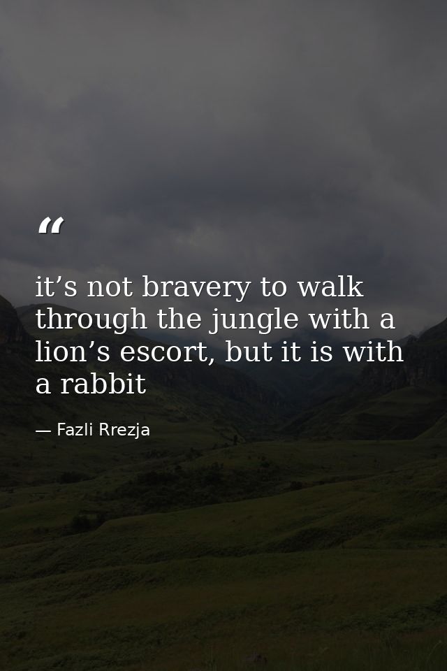 it’s not bravery to walk through the jungle with a lion’s escort, but it is with a rabbit — Fazli Rrezja