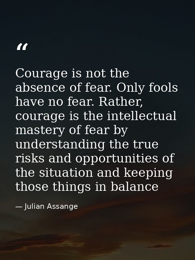 Courage is not the absence of fear. Only fools have no fear. Rather, courage is the intellectual mastery of fear by unde — Julian Assange