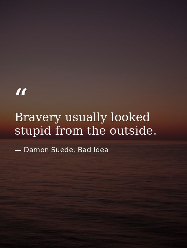 Bravery usually looked stupid from the outside. — Damon Suede, Bad Idea