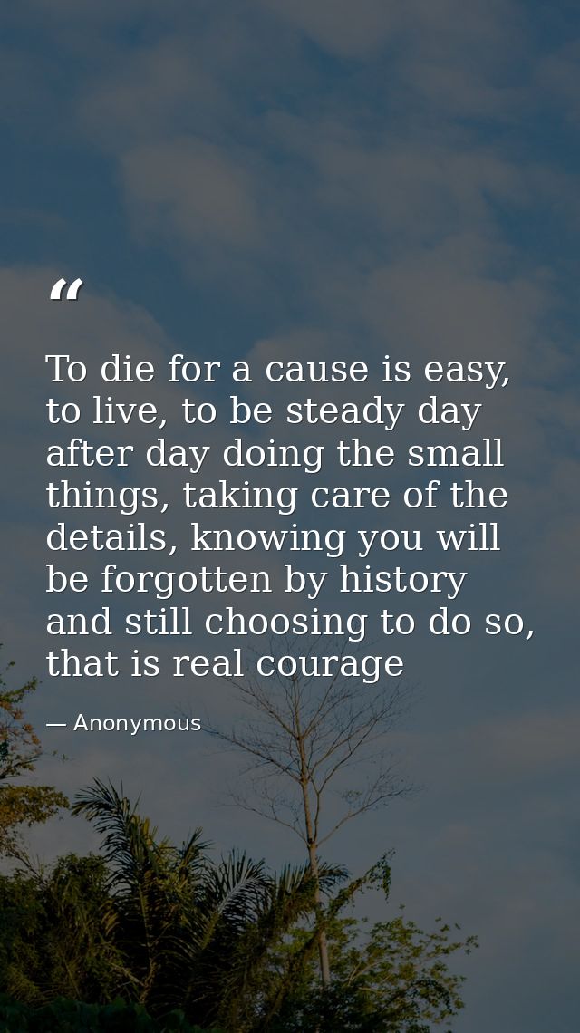 To die for a cause is easy, to live, to be steady day after day doing the small things, taking care of the details, know — Anonymous