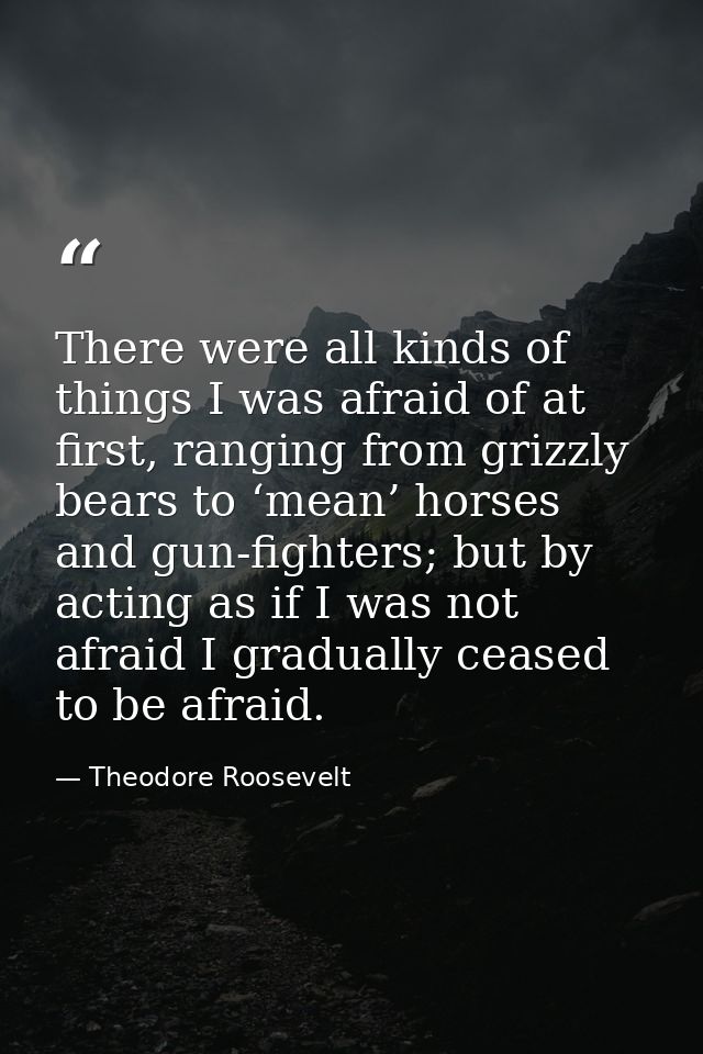 There were all kinds of things I was afraid of at first, ranging from grizzly bears to ‘mean’ horses and gun-fighters; b — Theodore Roosevelt
