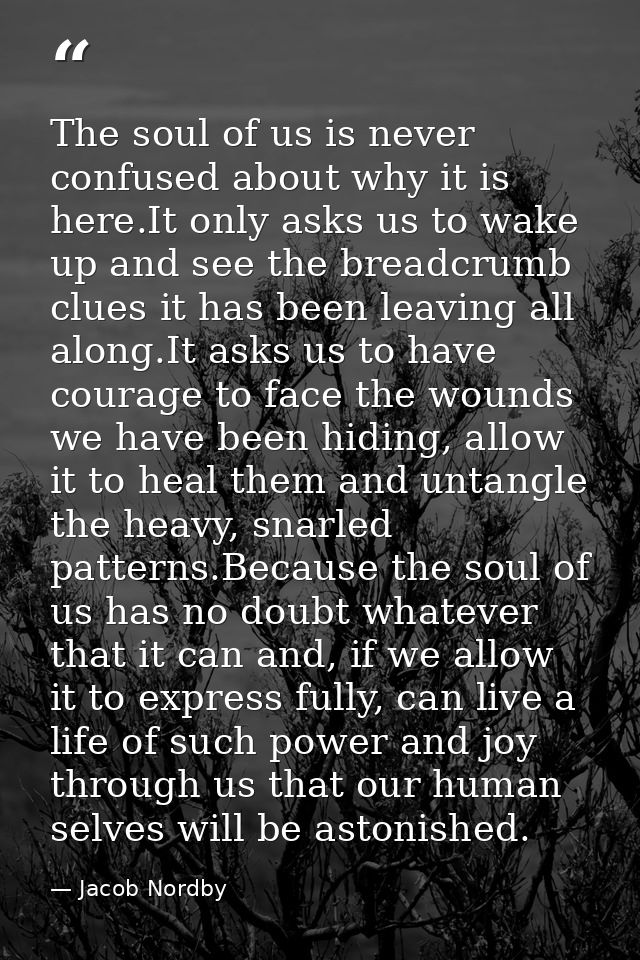The soul of us is never confused about why it is here.It only asks us to wake up and see the breadcrumb clues it has bee — Jacob Nordby