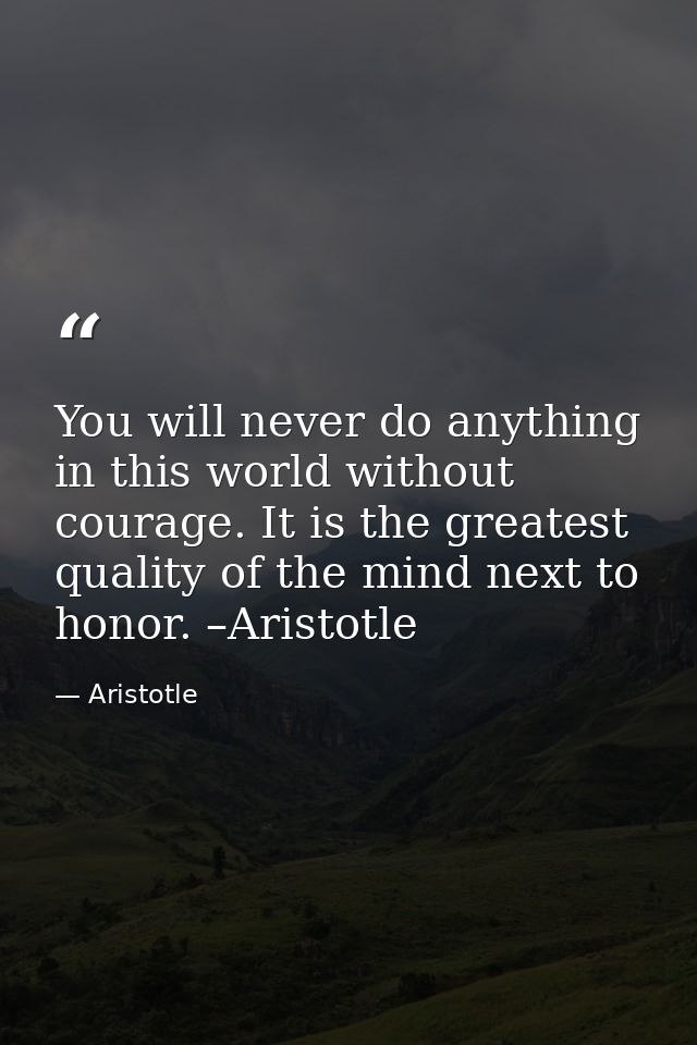 You will never do anything in this world without courage. It is the greatest quality of the mind next to honor. –Aristot — Aristotle