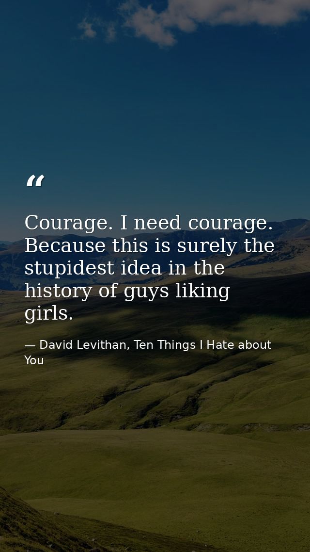 Courage. I need courage. Because this is surely the stupidest idea in the history of guys liking girls. — David Levithan, Ten Things I Hate about You